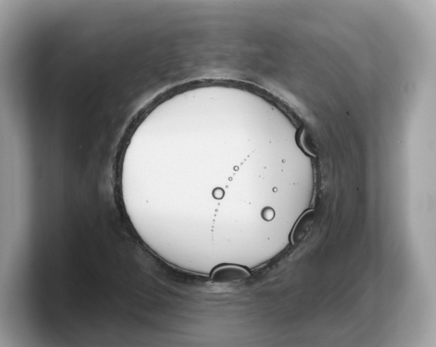 X0000103231264200809181517