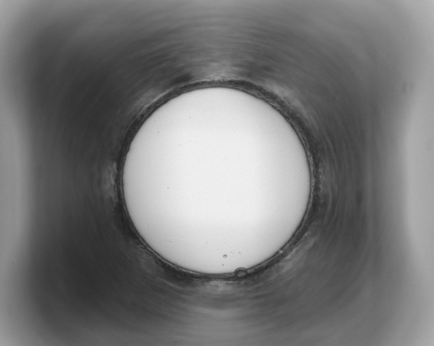X0000103231265200809181517