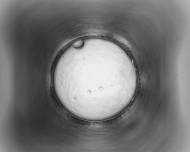 X0000103231267200809181517