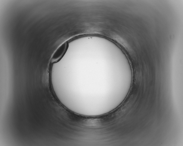 X0000103231268200809181516