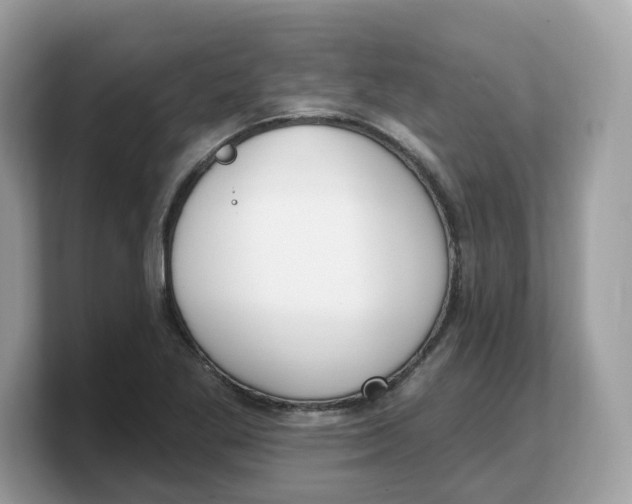 X0000103231269200809181516