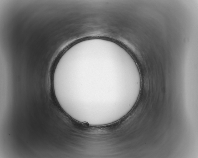 X0000103231270200809181516