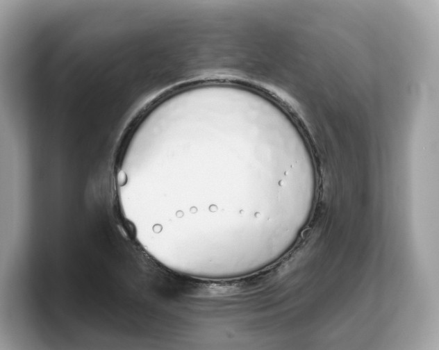 X0000103231271200809181516