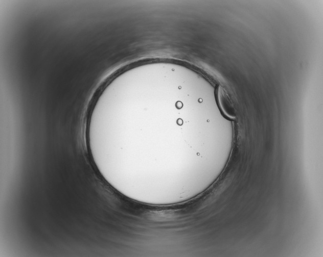 X0000103231272200809181516