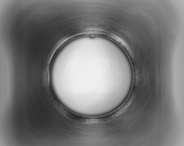 X0000103231275200809181516