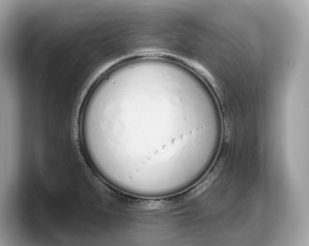 X0000103231279200809181516