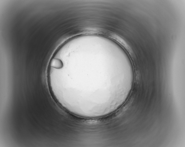 X0000103231283200809181516