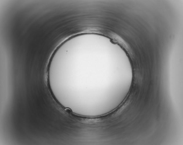 X0000103231284200809181516