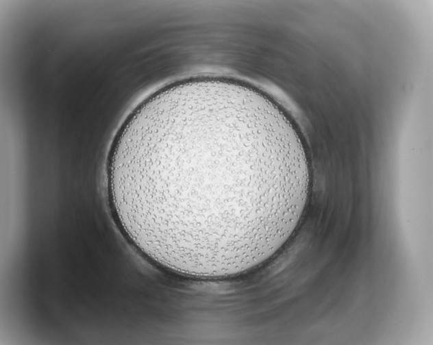 X0000103231287200809181516