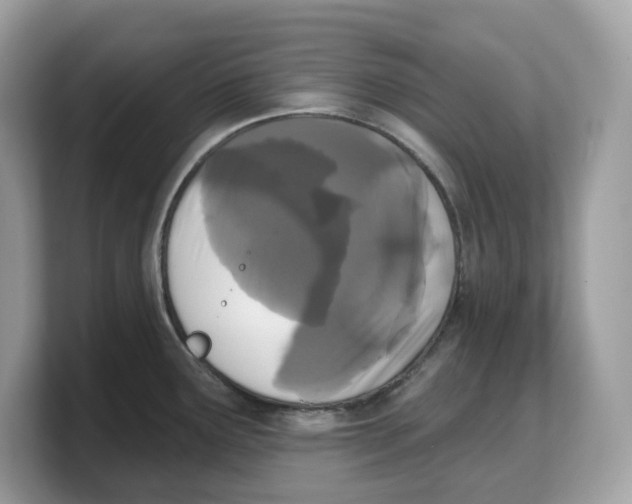X0000103231291200809181516
