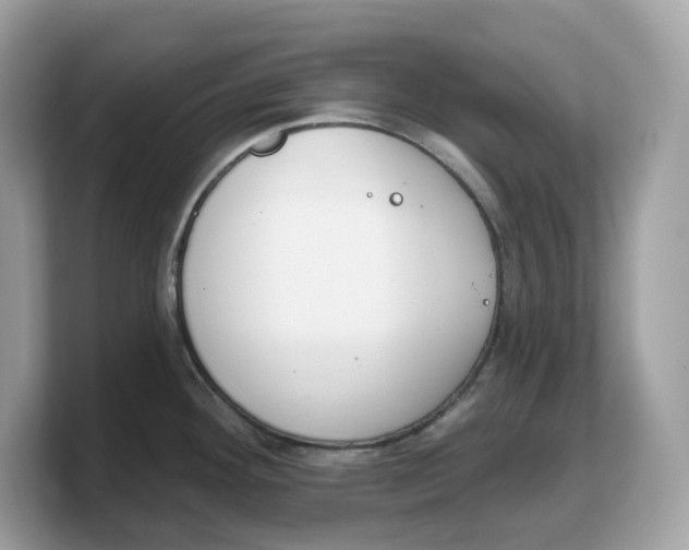X0000103231292200809181516