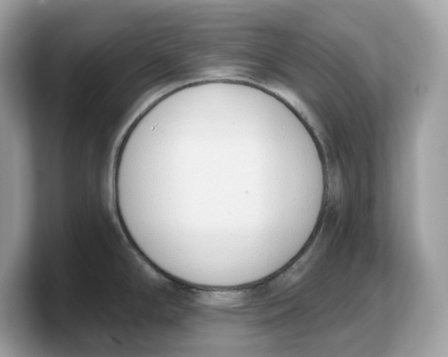 X0000103231294200809181516