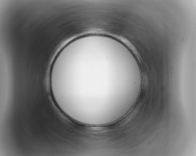 X0000103231295200809181516