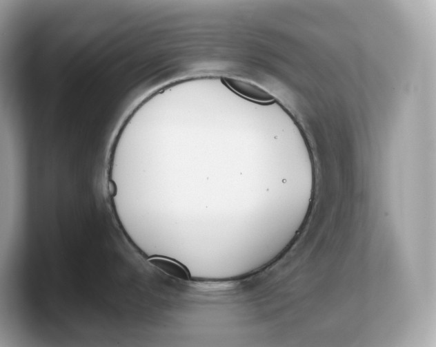X0000103231296200809181516