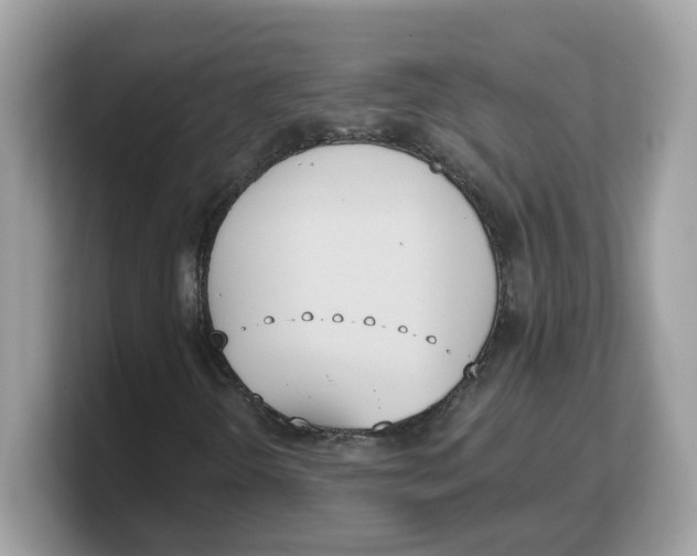 X0000103231298200809181515