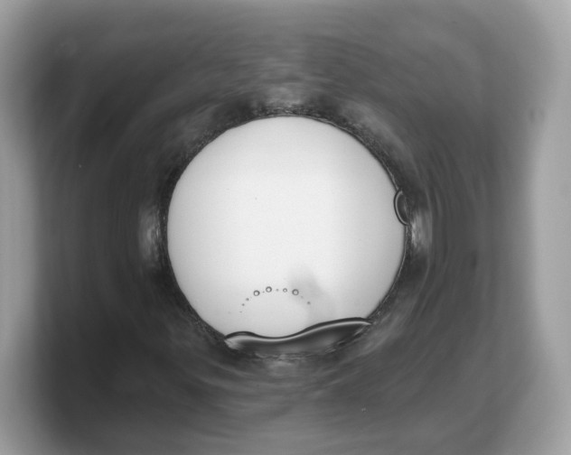X0000103231299200809181515