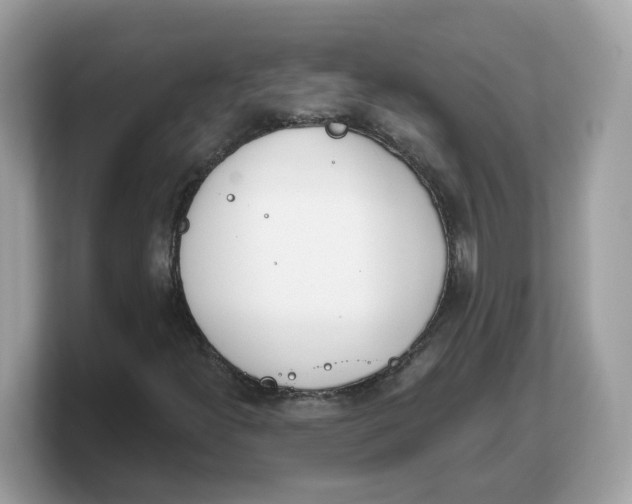 X0000103231300200809181515