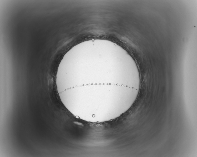 X0000103231302200809181516