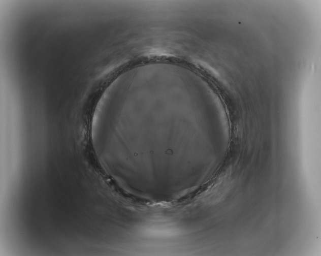X0000103231303200809181516