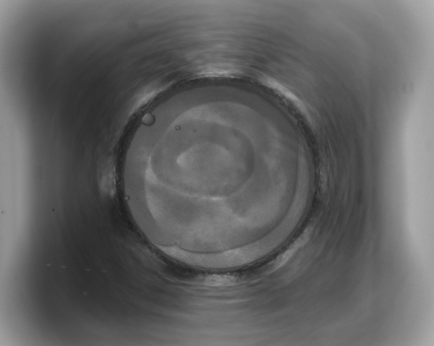 X0000103231306200809181516