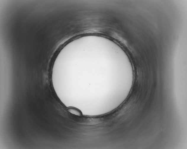 X0000103231308200809181516