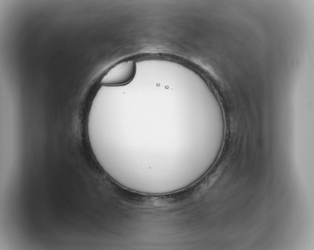 X0000103231311200809181516