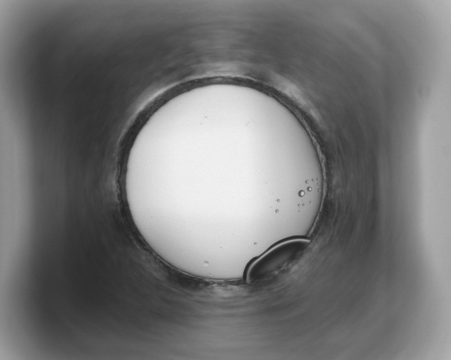 X0000103231312200809181516