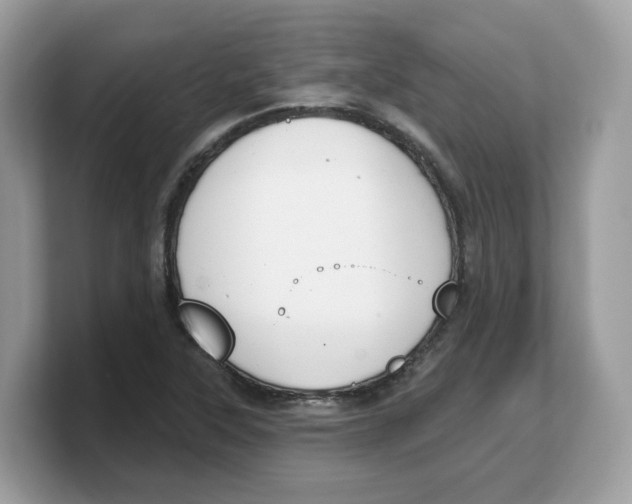 X0000103231315200809181516