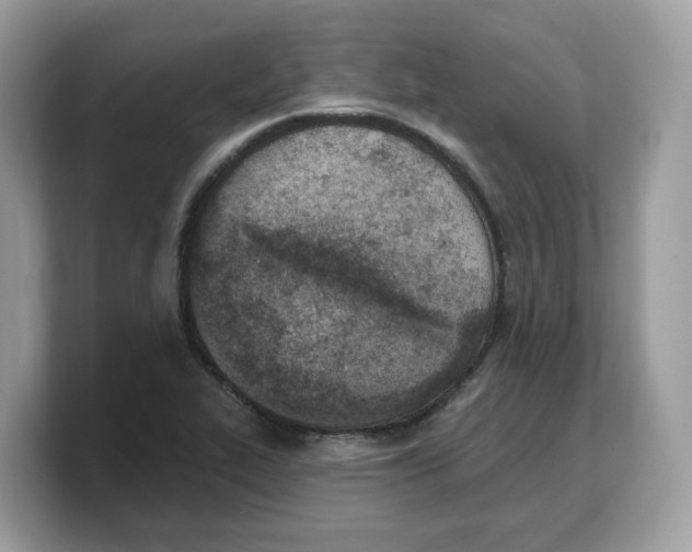 X0000103231319200809181516
