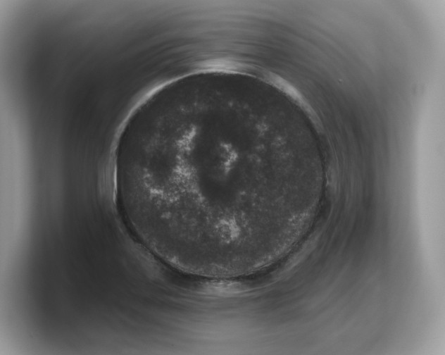 X0000103231323200809181516