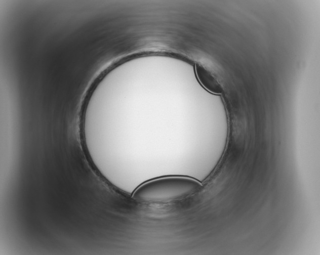X0000103231326200809181516