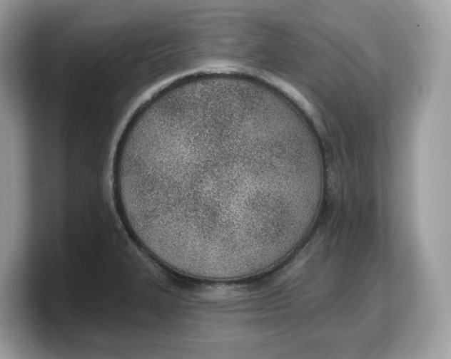 X0000103231327200809181516