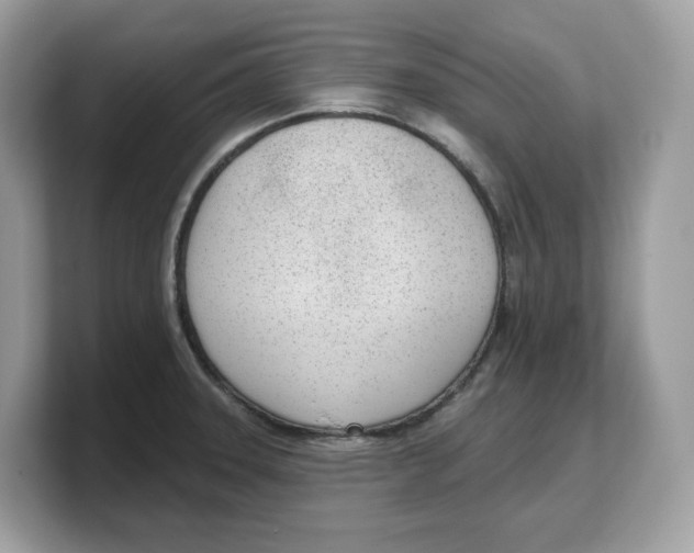 X0000103231331200809181516