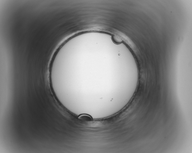 X0000103231332200809181516