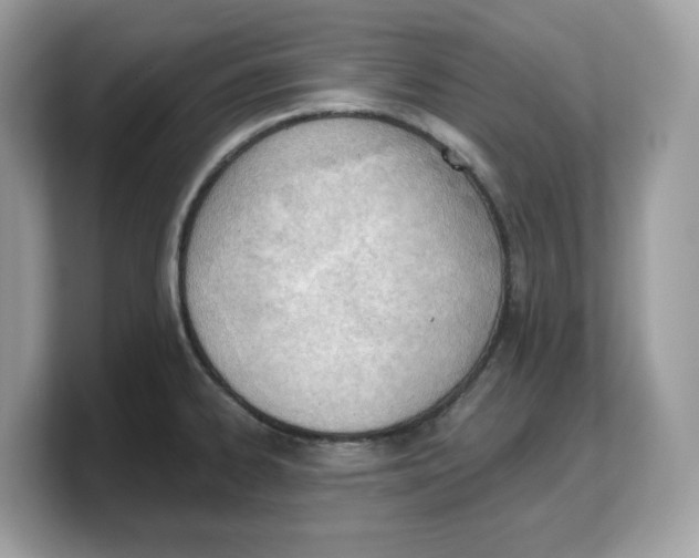X0000103231334200809181516