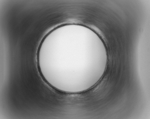 X0000103231335200809181516