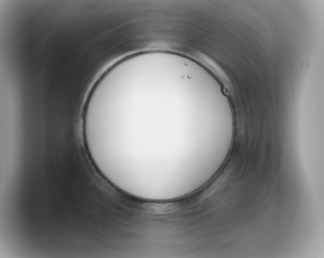X0000103231340200809181516