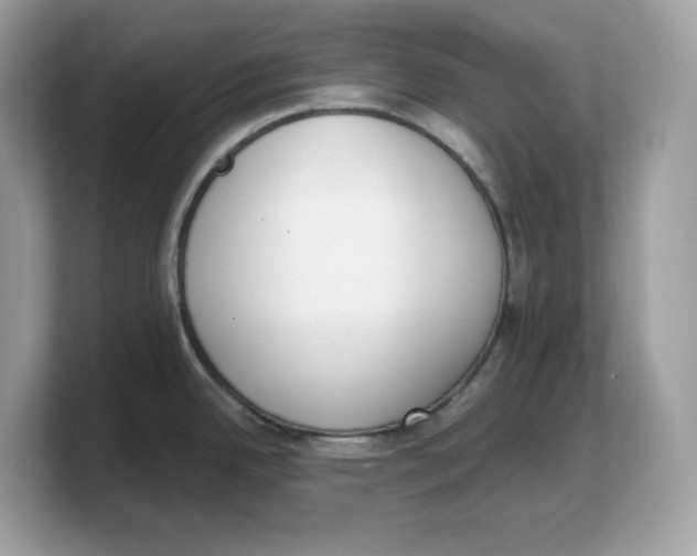 X0000103231342200809181516