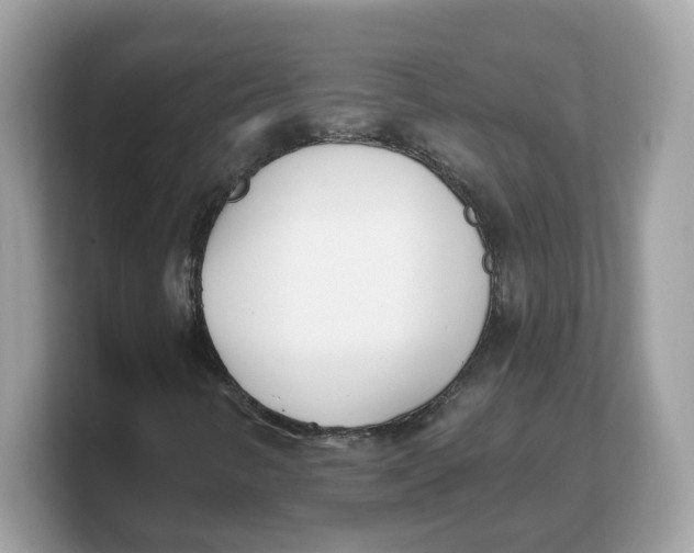 X0000103231346200809181515