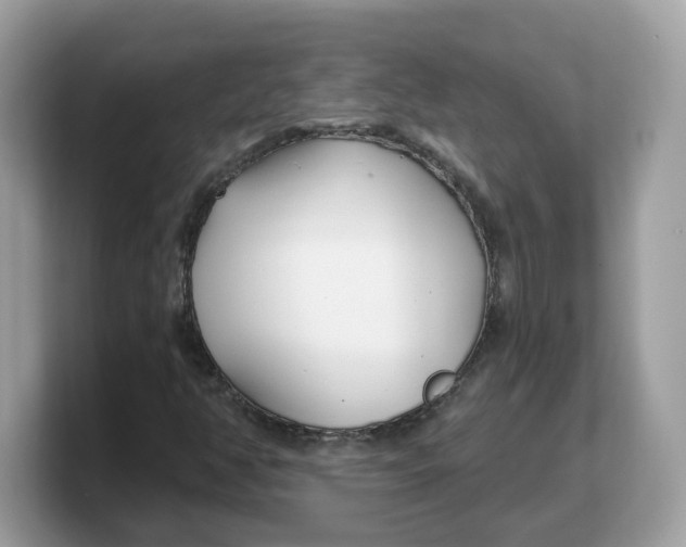 X0000103231350200809181515