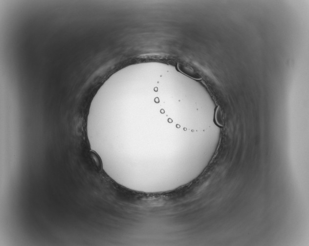 X0000103231351200809181515