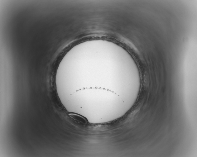 X0000103231352200809181515