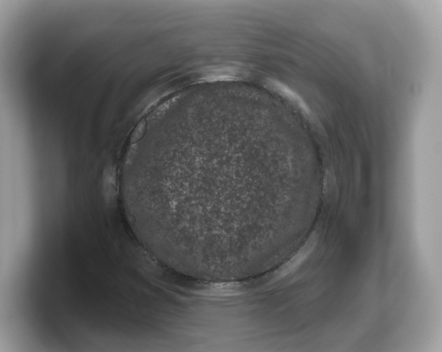 X0000103231353200809181515