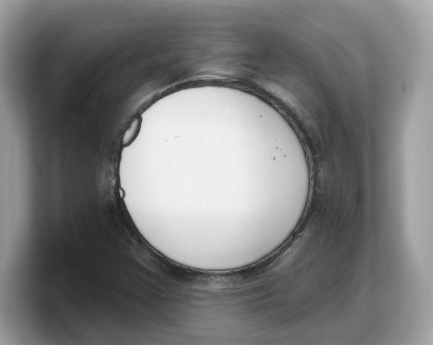 X0000103231355200809181515