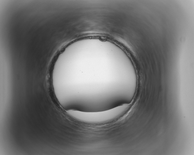 X0000103231357200809181515