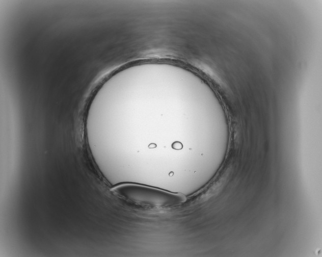 X0000103231358200809181515