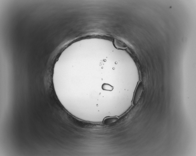 X0000103231359200809181515