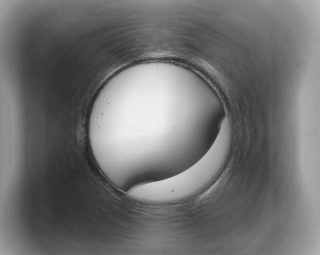 X0000103231361200809181515