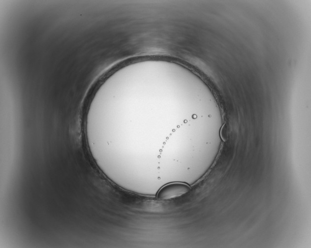 X0000103231364200809181515