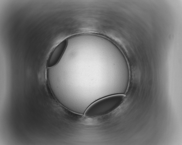 X0000103231365200809181515